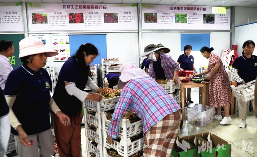 打鱼赢现金金沙
